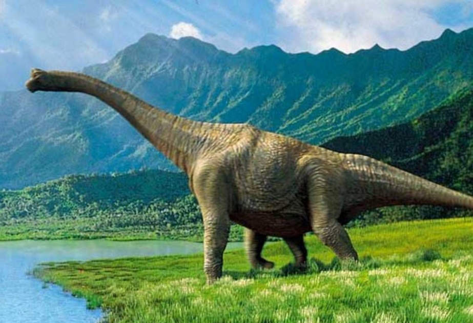 Avstraliyada dünyada ən böyük dinozavr izi tapılıb