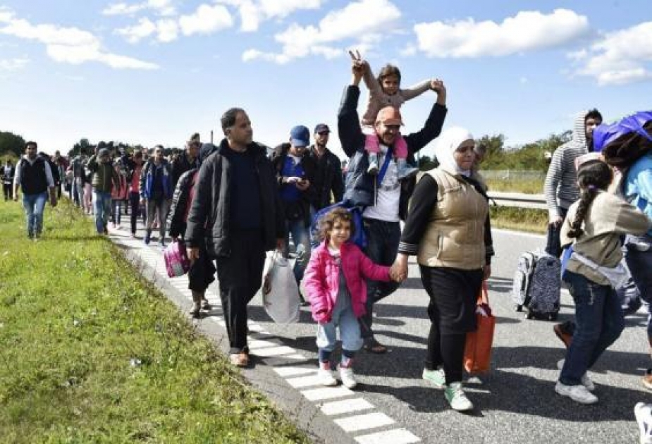 Половина мигрантов, прибывших в Данию, предоставляют ложные данные о себе