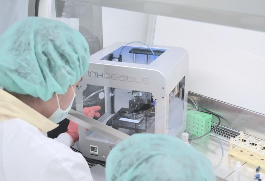 Шведские ученые смогли напечатать с помощью 3D-принтера искусственную хрящевую ткань человека