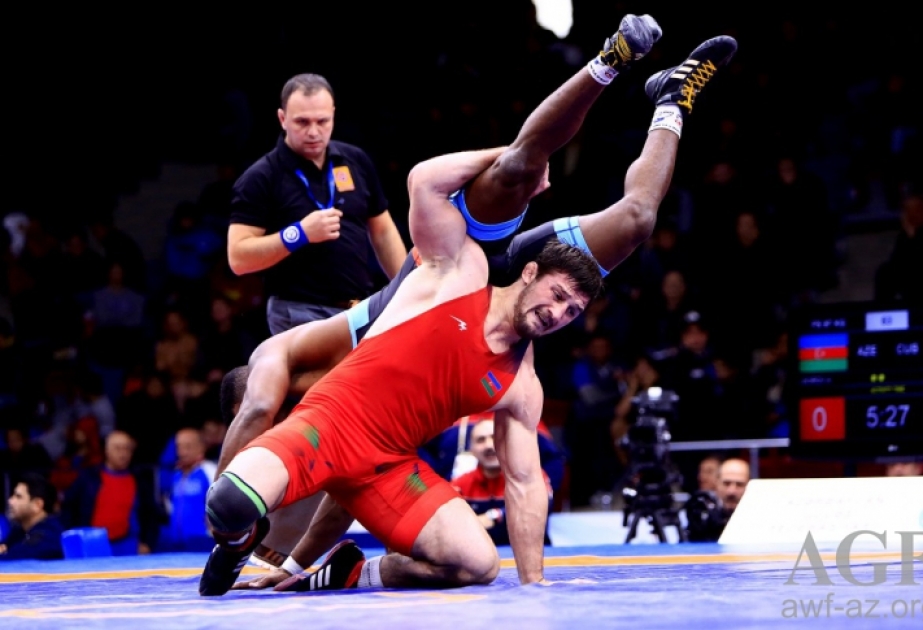 5 вольников расположились в первой пятерке