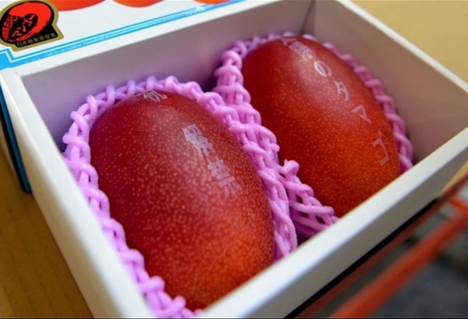 Yaponiyada bir cüt manqo meyvəsi təqribən dörd min dollara satılıb