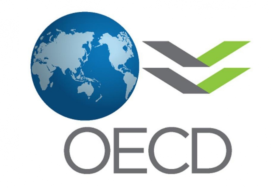 Azerbaijan gets guest status at OECD Development Assistance Committee