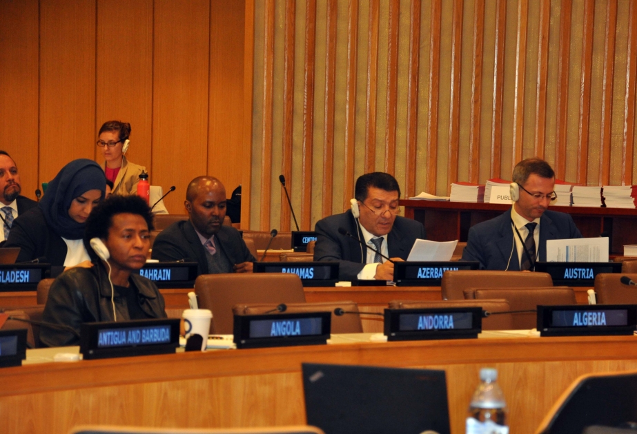 IOM chief commends Azerbaijan`s migration management model