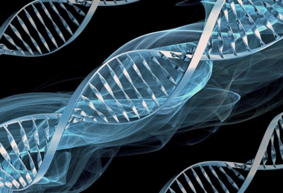 25 апреля - Международный день ДНК