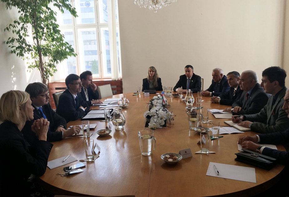 Azerbaijan, Czech Republic discuss ways of developing cooperation
