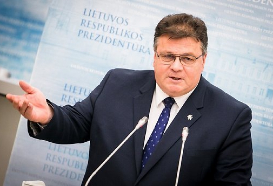 Глава МИД Литвы: ЕС не должен вводить санкции против Турции