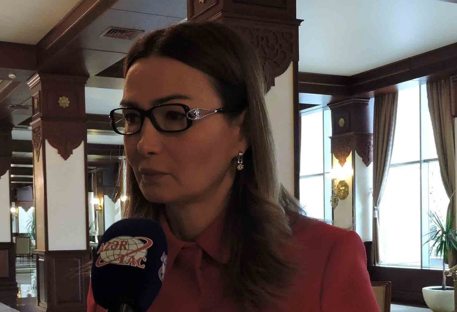 Qənirə Paşayeva: Çox təəssüf ki, Avropa Şurasında ikili standartlar hələ də hökm sürür