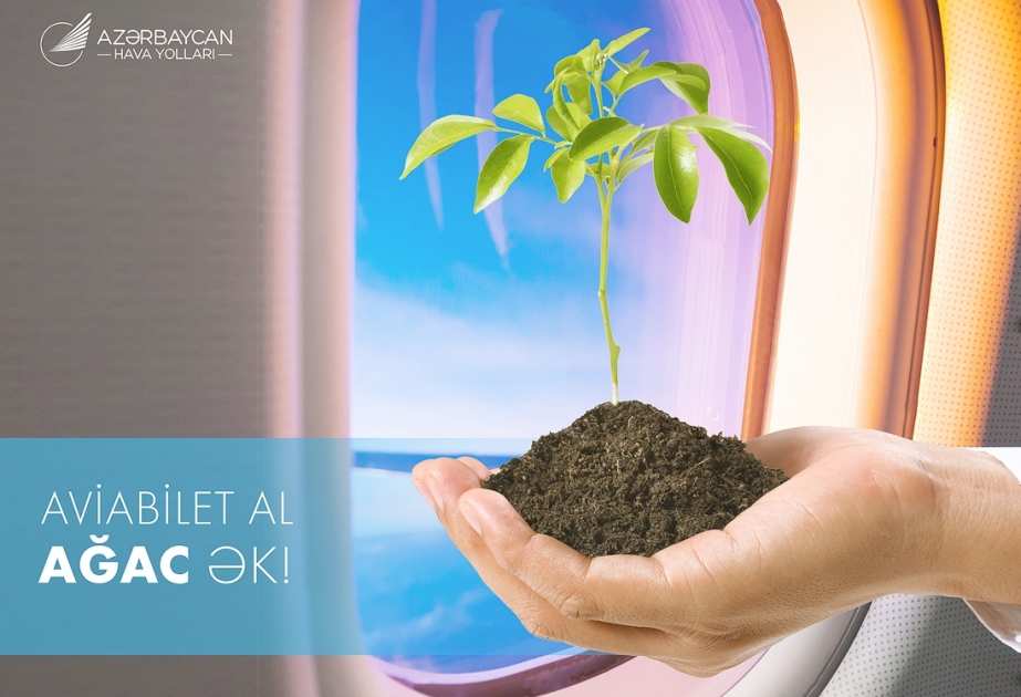 Buy AZAL flight ticket - plant a tree!