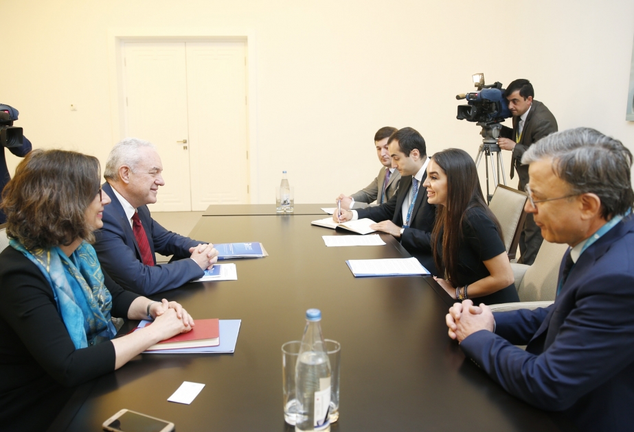 Rencontre de Leyla Aliyeva avec les officiels de la FAO