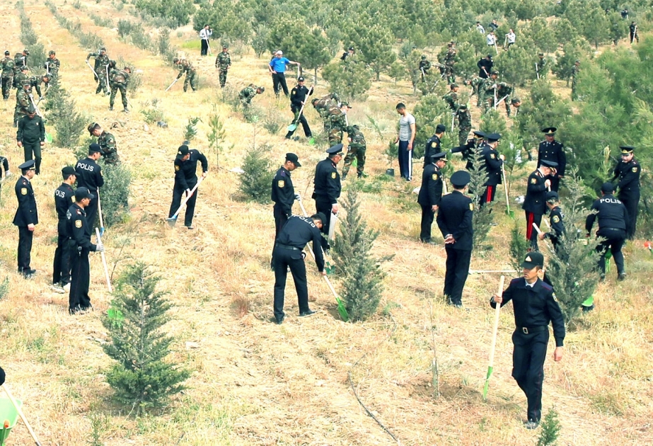 DİN-in şəxsi heyəti ağacəkmə kampaniyası keçirib