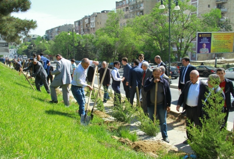 Nəsimi rayonunda ümumrayon iməciliyi keçirilib və yeni park istifadəyə verilib
