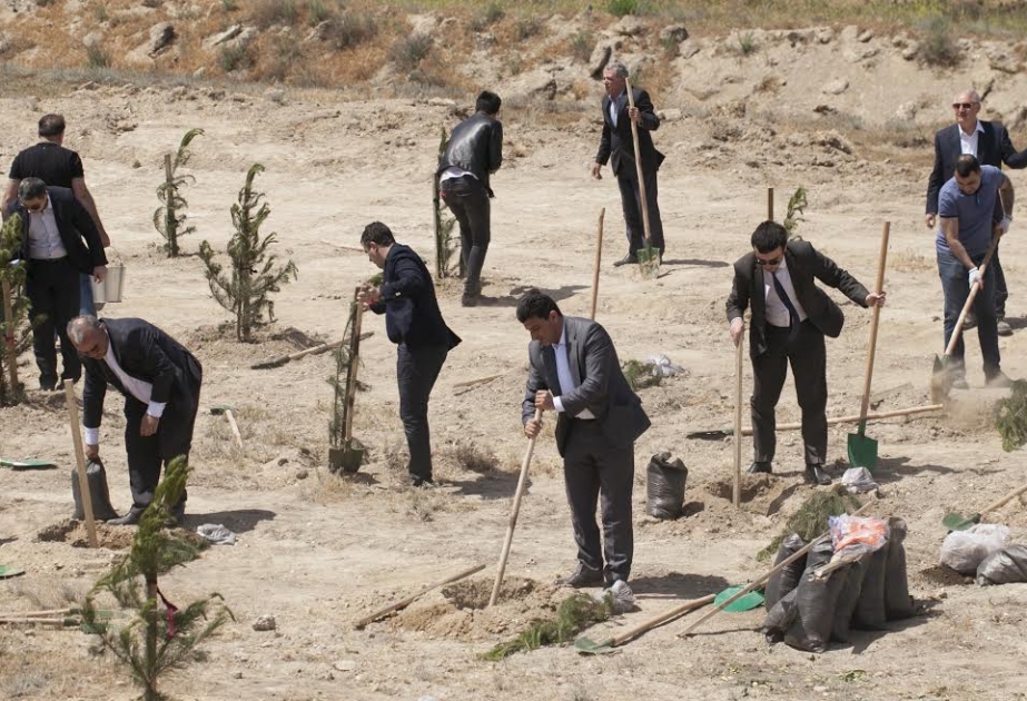 Suraxanı rayonunda keçirilən yaşıllaşdırma aksiyası çərçivəsində 600-dən çox ağac əkilib