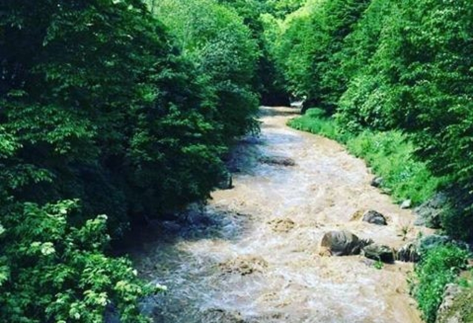 В реках Балакен-Шекинского региона отмечается повышение уровня водности