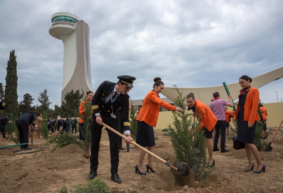 Heydər Əliyev Beynəlxalq Aeroportunda ağacəkmə aksiyası keçirilib
