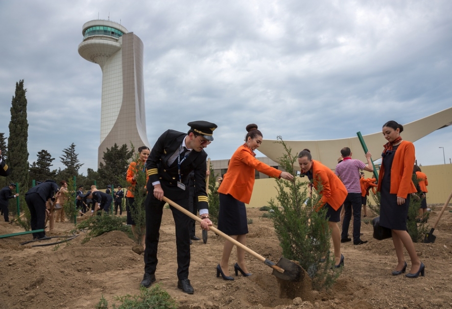 Tree Planting Campaign held at Heydar Aliyev International Airport