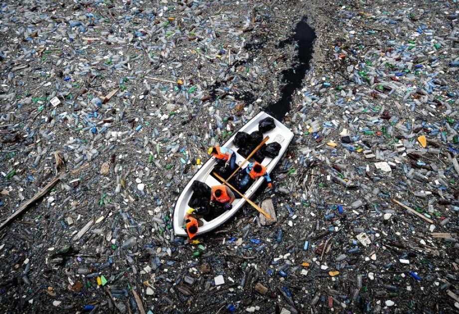 Auf abgelegener Südseeinsel gigantische Mengen Plastikmüll