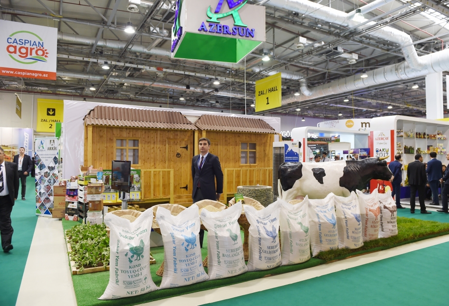 WorldFood Azerbaijan 2017: изобилие продуктов от мировых производителей