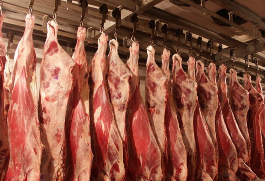 ارتفاع إنتاج اللحم 3.0 % خلال أشهر يناير - أبريل 

