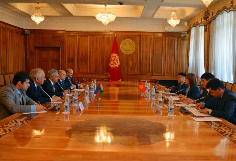 Altınay Omurbekova: Qırğızıstan-Azərbaycan parlamentlərarası əlaqələri inkişaf edir