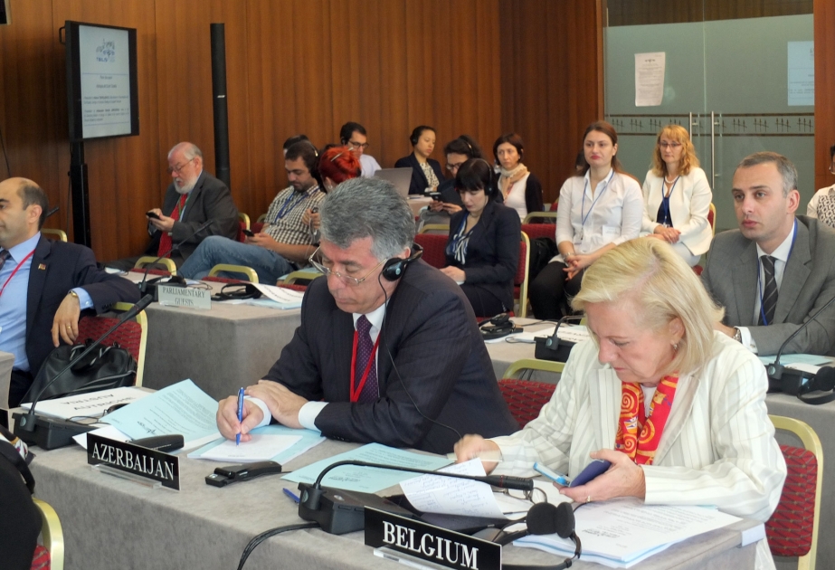 Head of Azerbaijani delegation draws NATO PA`s attention to Karabakh problem