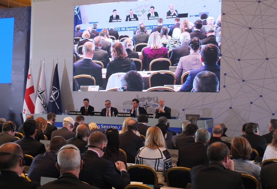 Paolo Alli: Ərazi bütövlüyü NATO ilə əməkdaşlığın əsas prinsipidir