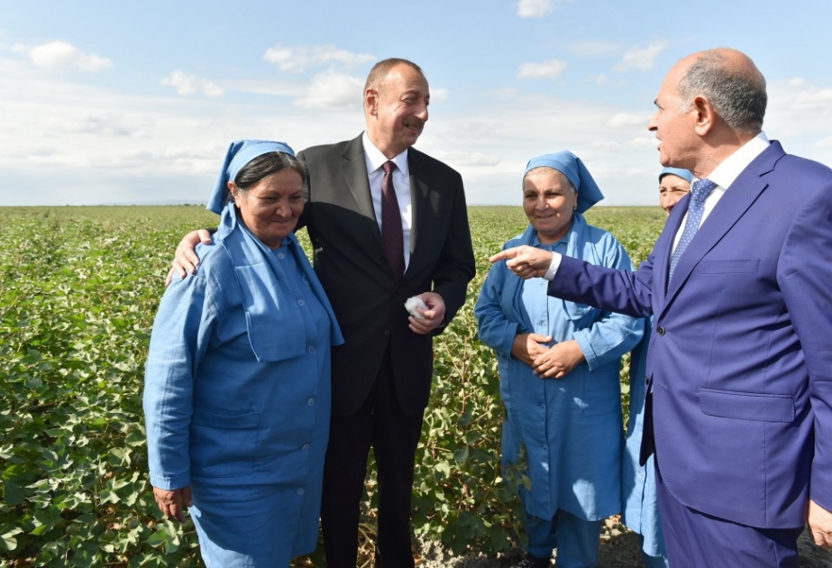 Azərbaycanın inkişaf strategiyası: Ənənəvi təsərrüfat sahələrinin dirçəldilməsi ixrac potensialını artırır, yeni iş yerləri yaranır
