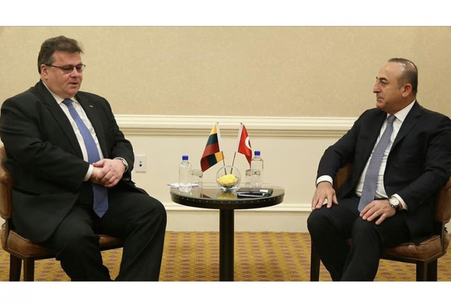Литву посетит министр иностранных дел Турции