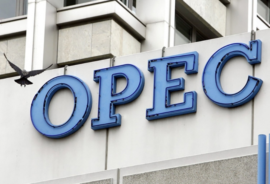 Mayda OPEC-in neft hasilatı artıb