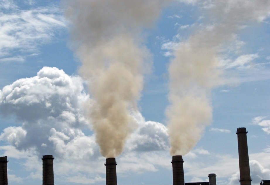 В странах Европы и Центральной Азии из-за загрязнения воздуха ежегодно умирают 1, 4 миллиона человек