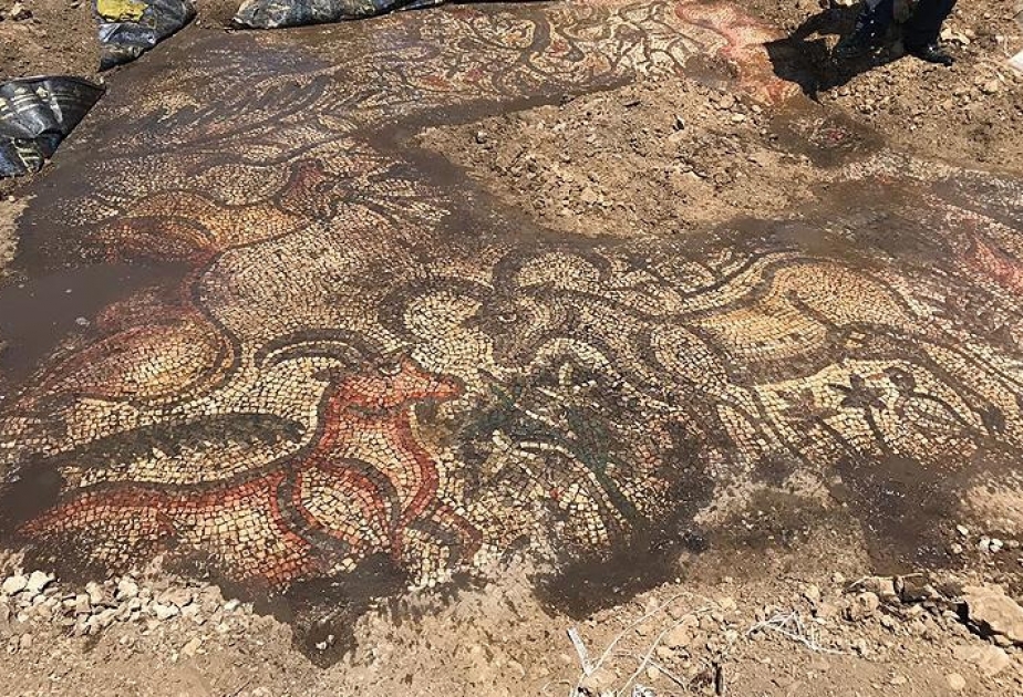 Türkiyədə 1600 illik tarixi olan mozaik döşəmə aşkarlanıb