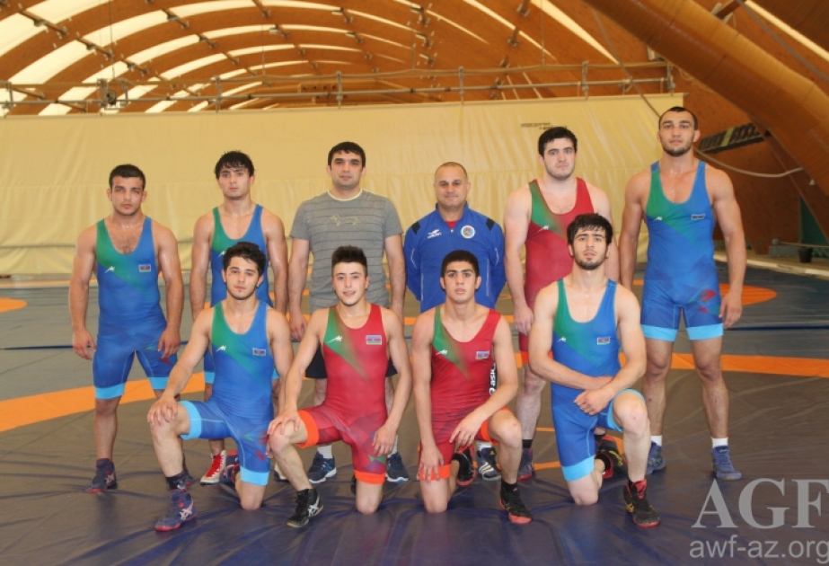 Young Azerbaijani wrestlers to vie for European medals