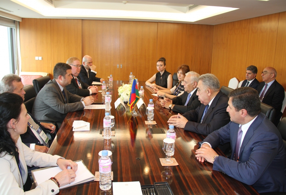 Председатель Милли Меджлиса: Азербайджан и Чехия дружественные страны и партнеры