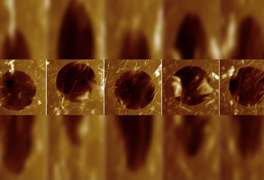 Researchers create very small sensor using 'white graphene'
