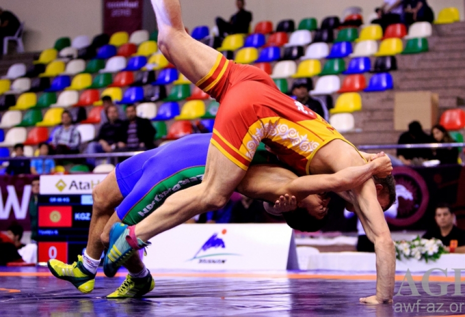 Azerbaijani Greco-Roman wrestlers vie for medals at European championships