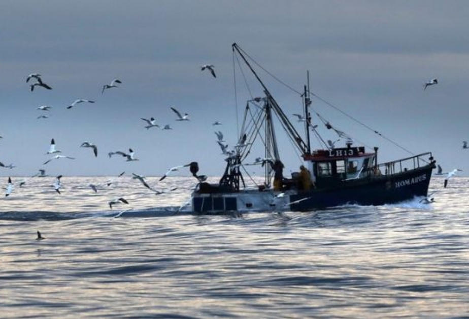 Birləşmiş Krallıq balıqçılığın tənzimlənməsi beynəlxalq konvensiyadan çıxacaq
