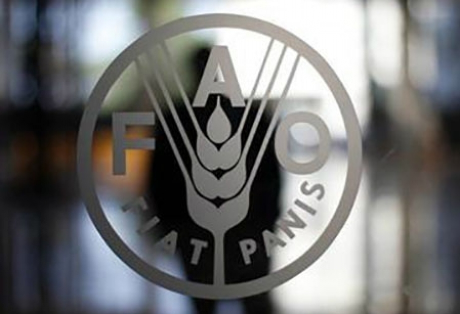 ФАО: Женщины-фермеры спасут планету от голода
