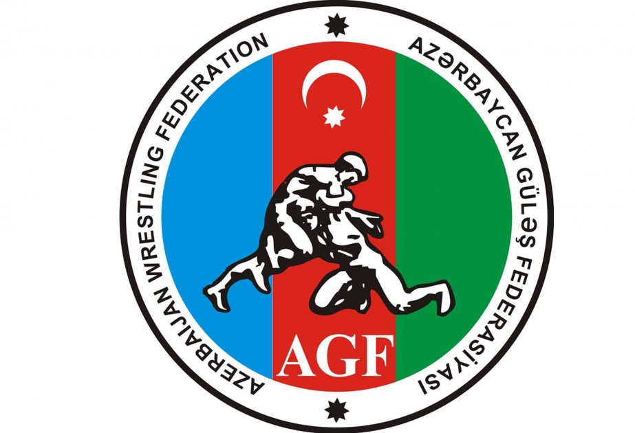 Türkischer Ringer feiert seinen Sieg über armenischen Athleten Freude mit aserbaidschanischer Fahne