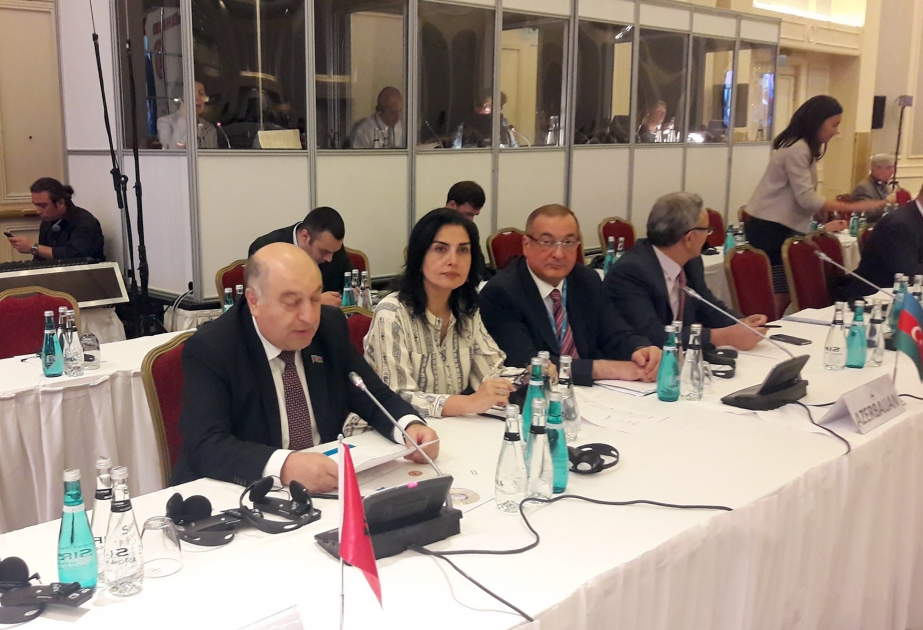 İstanbulda keçirilən QDİƏT PM-in Baş Assambleyasının 49-cu sessiyası başa çatıb