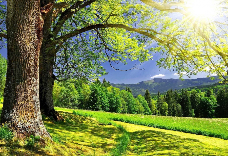 Havanın temperaturu 37 dərəcəyədək yüksələcək