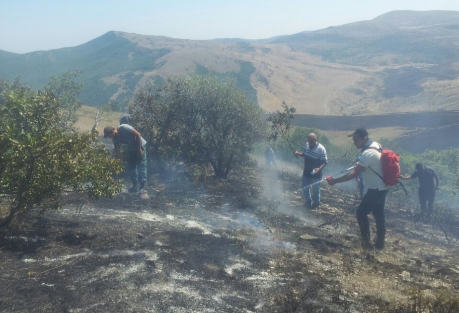 Пожар в Гызылагаджском заповеднике охватил территорию площадью 3 гектара