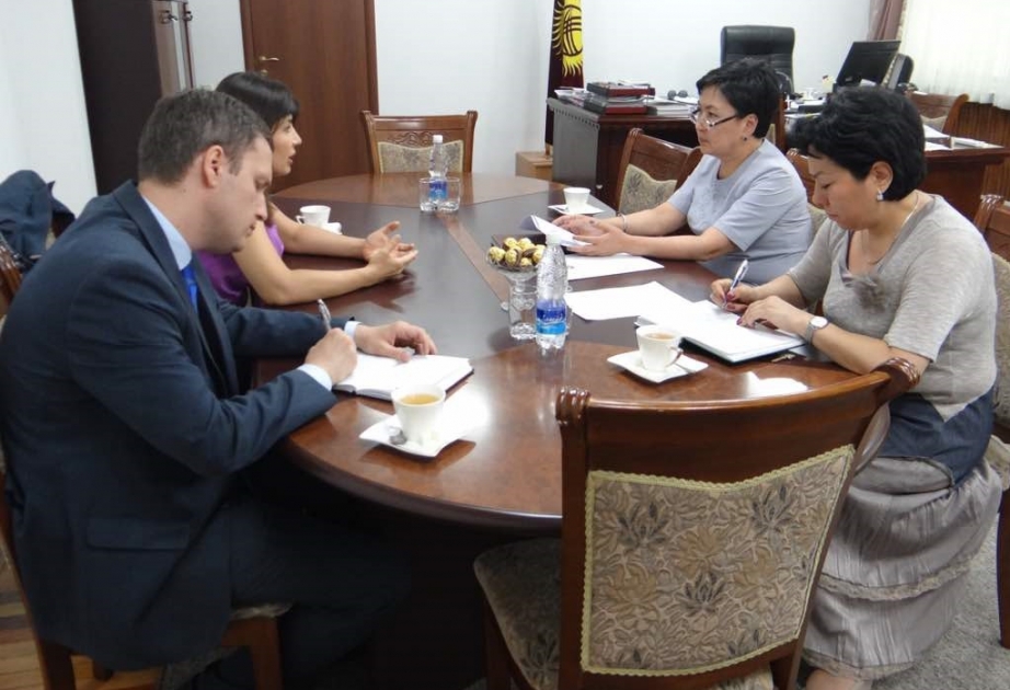 President of International Turkic Culture and Heritage Foundation meets Kyrgyz ministers