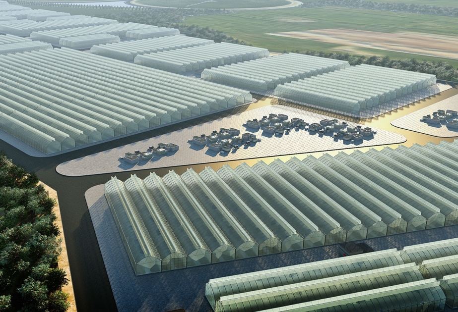 President Ilham Aliyev: Creation of 33 agro-parks will increase country’s export potential