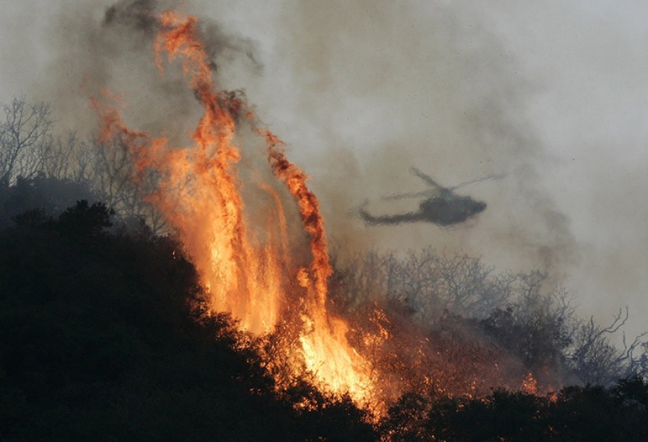 39 тысяч человек эвакуированы в Канаде из-за лесных пожаров