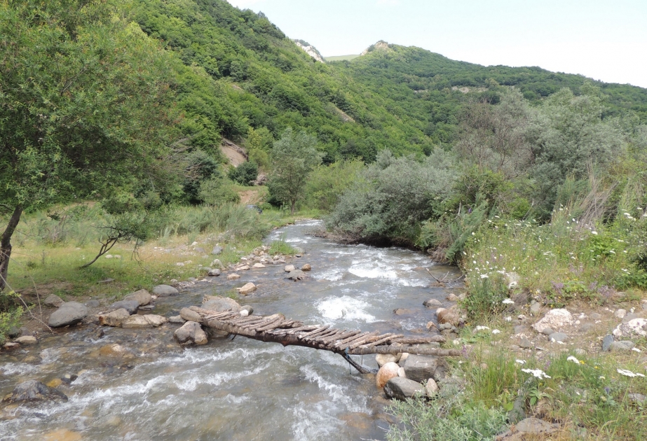 Erotik darajada tola