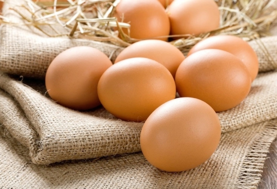 Яйца - обязательный продукт для желающих похудеть