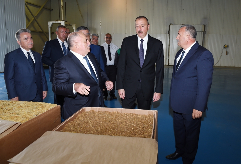 Президент Азербайджана Ильхам Алиев ознакомился в Загатала с деятельностью завода по переработке табака ВИДЕО