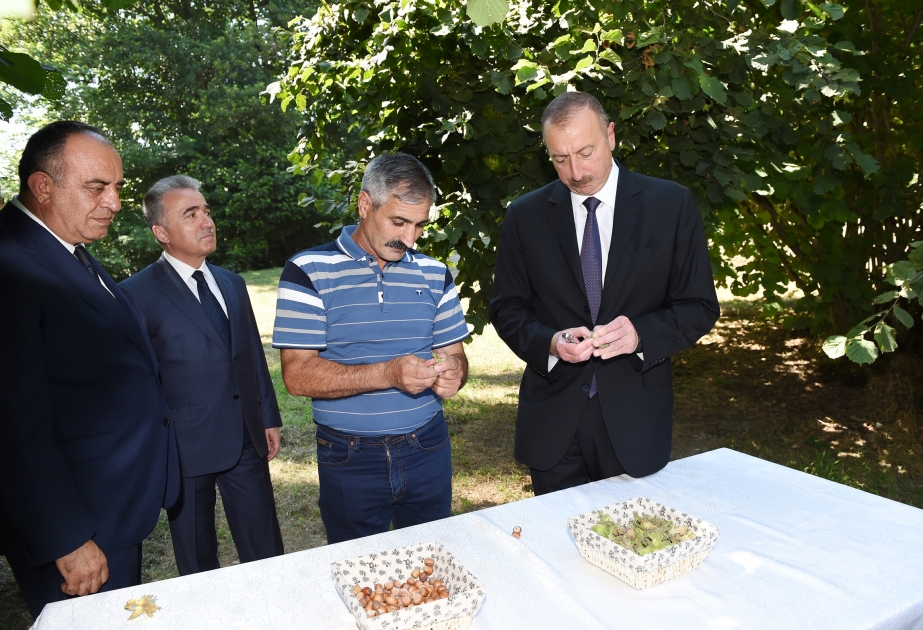 Gakh : visite d’une plantation de noisetiers dans le village de Lélépacha VIDEO