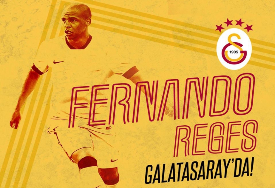 Galatasaray sign Fernando from Manchester City
