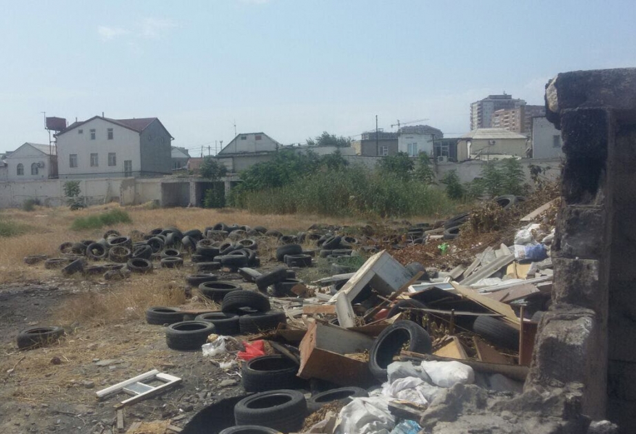 Дано обязательное для исполнения указание по очистке завалов мусора