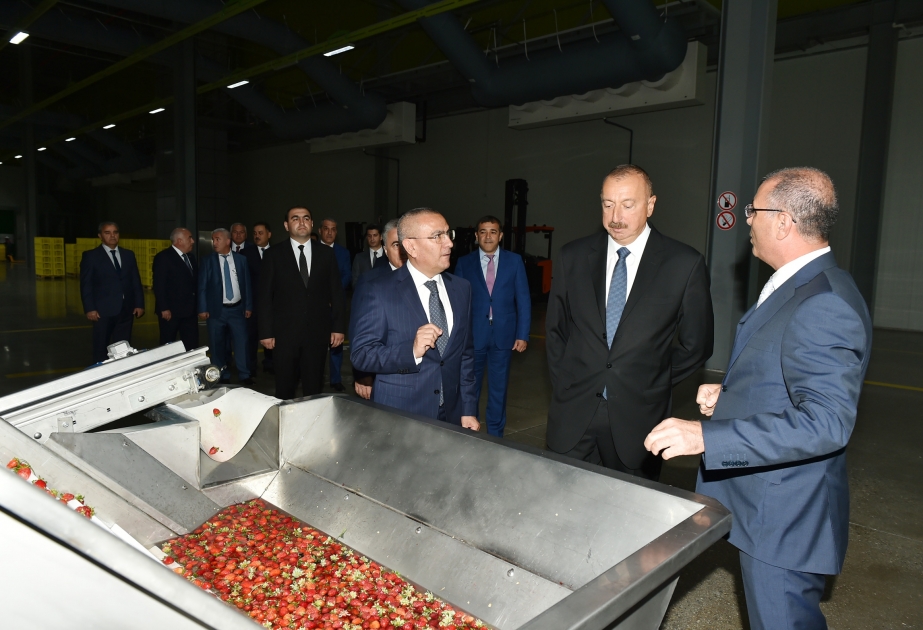 Президент Ильхам Алиев принял участие в открытии Логистического центра Шамкирского агропарка ВИДЕО